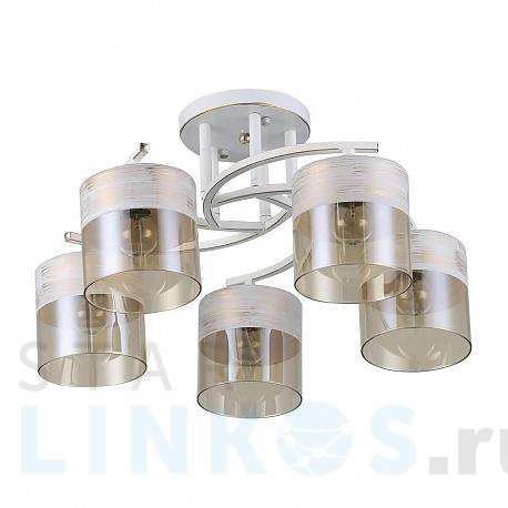 Купить Потолочная люстра Ritter Messina 52550 9 за 7 041 руб. в Туле фото 2 Купить с доставкой Потолочная люстра Ritter Messina 52550 9 в Туле фото 2