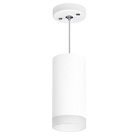 Купить Подвесной светильник Lightstar Rullo (216486+590086+202480) RP648680 в Туле