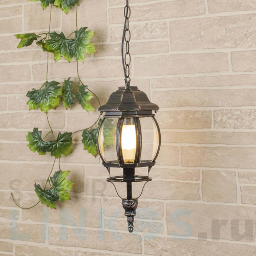 Купить Уличный подвесной светильник Elektrostandard GL 1001H a034298 за 4 770 руб. в Туле Купить с доставкой Уличный подвесной светильник Elektrostandard GL 1001H a034298 в Туле