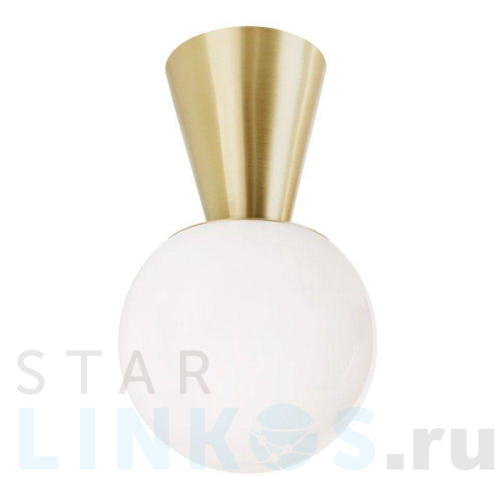 Купить Потолочный светильник Imperium Loft Moss Sierra 143972-22 за 9 110 руб. в Туле Купить с доставкой Потолочный светильник Imperium Loft Moss Sierra 143972-22 в Туле