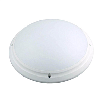 Купить Уличный настенный светильник Horoz 400-010-105 HRZ00001382 в Туле