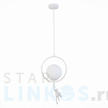 Купить Подвесной светильник Evoluce Tenato SLE115113-01 за 5 730 руб. в Туле фото 2 Купить с доставкой Подвесной светильник Evoluce Tenato SLE115113-01 в Туле фото 2