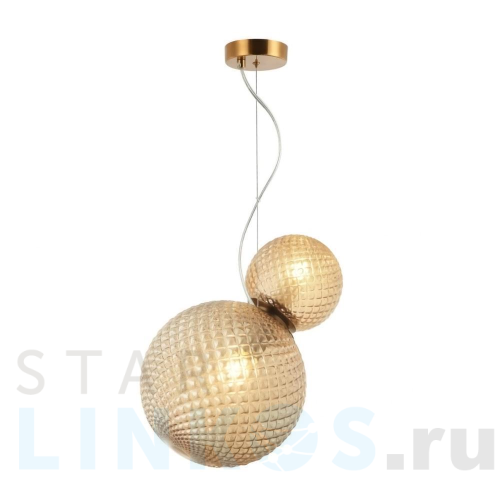 Купить Подвесной светильник Aployt Patunia APL.301.16.02 за 11 110 руб. в Туле Купить с доставкой Подвесной светильник Aployt Patunia APL.301.16.02 в Туле