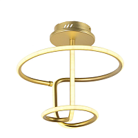 Купить Потолочный светодиодный светильник Arti Lampadari Angelo L 1.2.35.05 G в Туле