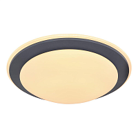 Купить Потолочный светодиодный светильник Globo Deggi 48297-36 в Туле