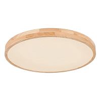 Купить Потолочный светодиодный светильник Globo Leanara 41756-48 в Туле