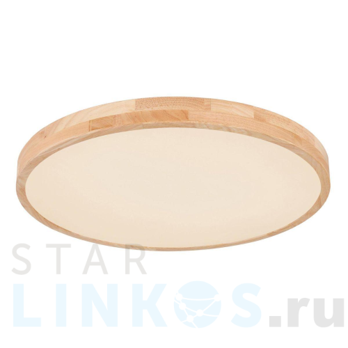 Купить с доставкой Потолочный светодиодный светильник Globo Leanara 41756-48 в Туле