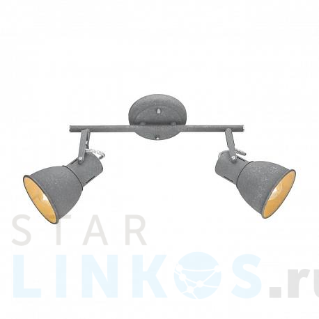 Купить Спот Arte Lamp A1677PL-2GY за 3 590 руб. в Туле фото 2 Купить с доставкой Спот Arte Lamp A1677PL-2GY в Туле фото 2