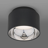 Купить Потолочный светильник Elektrostandard Charlie 1069 GX53 GR графит a053057 в Туле