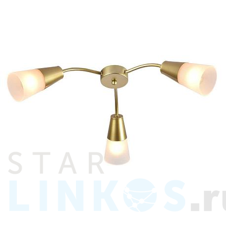 Купить Потолочная люстра Escada Aquilegia 1100/3P Gold за 3 210 руб. в Туле фото 2 Купить с доставкой Потолочная люстра Escada Aquilegia 1100/3P Gold в Туле фото 2