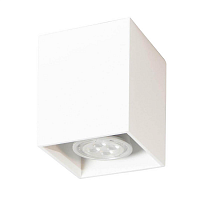 Купить Потолочный светильник TopDecor Tubo6 SQ P1 10 в Туле