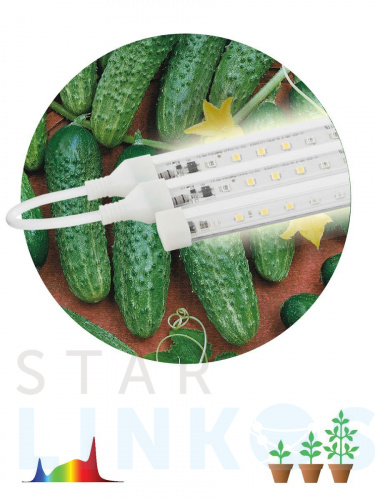 Купить с доставкой Модульный светодиодный светильник для растений ЭРА Fito-3х10W-Line-Ra90 Б0049315 в Туле фото 2