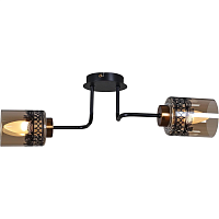 Купить Потолочный светильник Reluce 61713-0.3-02 в Туле