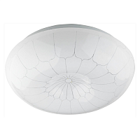 Купить Потолочный светодиодный светильник ЭРА Паутина SPB-6-12-4K (B) Б0019805 в Туле