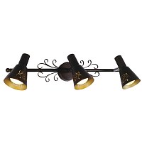 Купить Спот Citilux Дункан CL529531 в Туле