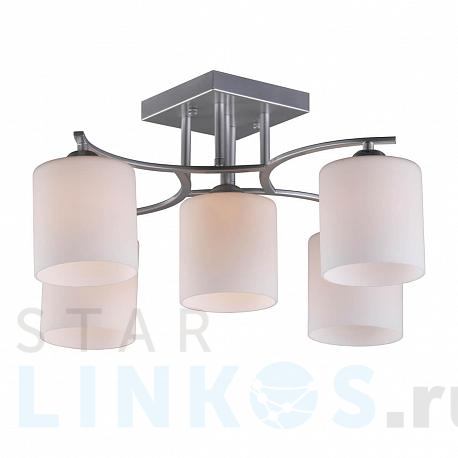 Купить Потолочная люстра Omnilux Pisticci OML-55307-05 за 8 090 руб. в Туле фото 2 Купить с доставкой Потолочная люстра Omnilux Pisticci OML-55307-05 в Туле фото 2