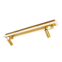 Купить Светодиодный спот Arte Lamp Tommy A2607PL-30GO в Туле