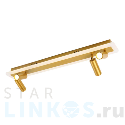 Купить Светодиодный спот Arte Lamp Tommy A2607PL-30GO за 9 490 руб. в Туле Купить с доставкой Светодиодный спот Arte Lamp Tommy A2607PL-30GO в Туле