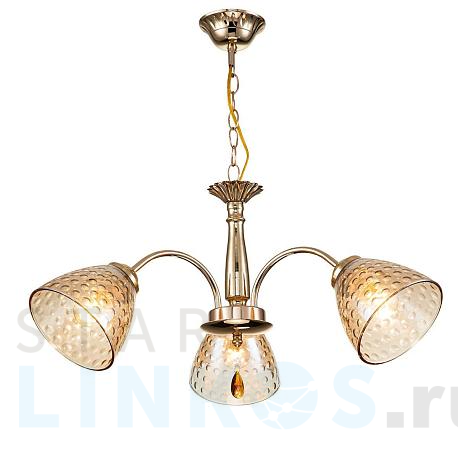 Купить Подвесная люстра Escada Freesia 658/3PL Gold за 4 560 руб. в Туле фото 2 Купить с доставкой Подвесная люстра Escada Freesia 658/3PL Gold в Туле фото 2