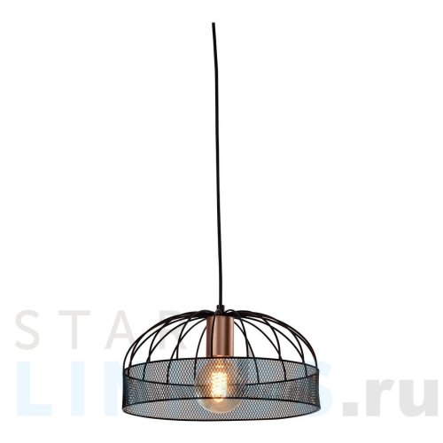 Купить Подвесной светильник Rivoli Theda 5020-211 Б0050331 за 3 494 руб. в Туле Купить с доставкой Подвесной светильник Rivoli Theda 5020-211 Б0050331 в Туле