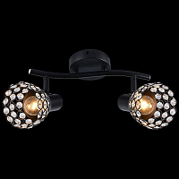 Купить Спот Reluce 05955-0.8-02 в Туле