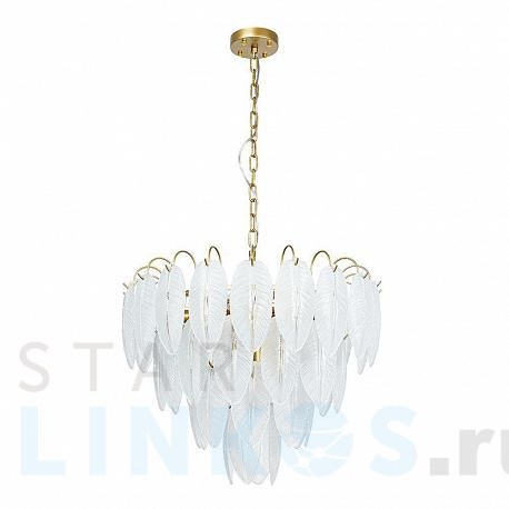 Купить Подвесная люстра Arte Lamp Evie A4052LM-12SG за 44 990 руб. в Туле фото 2 Купить с доставкой Подвесная люстра Arte Lamp Evie A4052LM-12SG в Туле фото 2