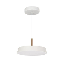 Купить Подвесной светодиодный светильник Arlight Sp-Elegant-R300-17W Day4000 033919 в Туле