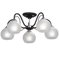 Купить Потолочная люстра Vitaluce V3948-1/5PL в Туле