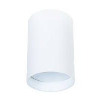 Купить Потолочный светильник Arte Lamp Beid A1517PL-1WH в Туле