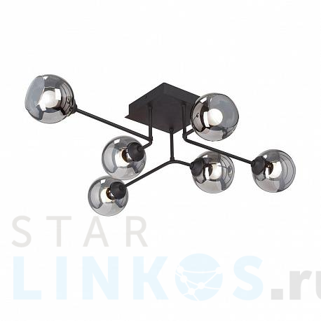 Купить Потолочная люстра Vitaluce V4795-1/6PL за 9 190 руб. в Туле фото 2 Купить с доставкой Потолочная люстра Vitaluce V4795-1/6PL в Туле фото 2