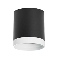 Купить Потолочный светильник Lightstar Rullo (213487+203486) R34873486 в Туле