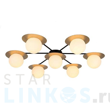 Купить Потолочная люстра F-Promo Roshni 3050-7P за 22 800 руб. в Туле фото 2 Купить с доставкой Потолочная люстра F-Promo Roshni 3050-7P в Туле фото 2
