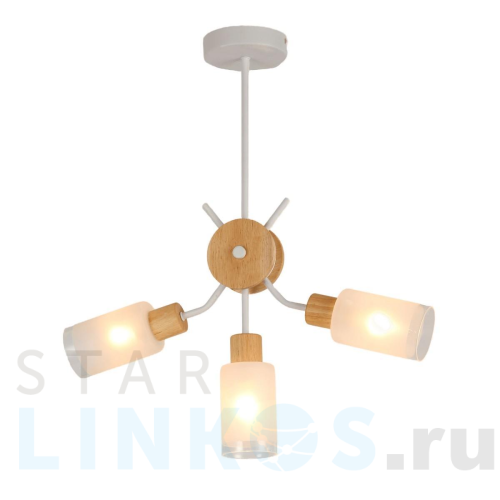 Купить Потолочная люстра MyFar Linda MR1862-3C за 8 995 руб. в Туле Купить с доставкой Потолочная люстра MyFar Linda MR1862-3C в Туле