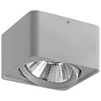 Купить Потолочный светильник Lightstar Monocco 212619 в Туле