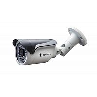 Купить Видеокамера IP OPTIMUS IP-E011.3(3.6)P в Туле