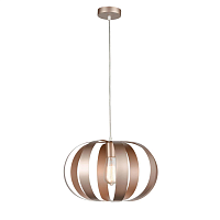 Купить Подвесной светильник Vele Luce Ophir VL5324P21 в Туле