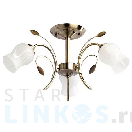Купить Потолочная люстра MW-Light Флора 256018103 за 7 910 руб. в Туле фото 2 Купить с доставкой Потолочная люстра MW-Light Флора 256018103 в Туле фото 2