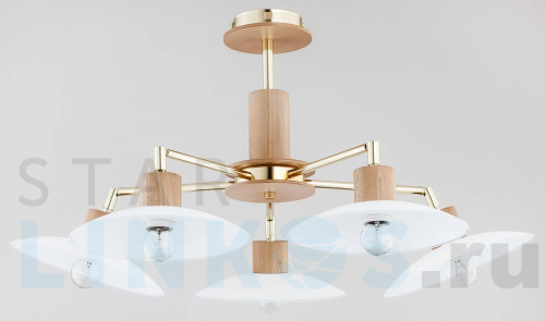 Купить Потолочная люстра Alfa Zoa 24715 за 19 990 руб. в Туле Купить с доставкой Потолочная люстра Alfa Zoa 24715 в Туле