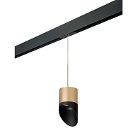 Купить Трековый светильник Lightstar Rullo (213490+595887+201487) PRORP349087 в Туле