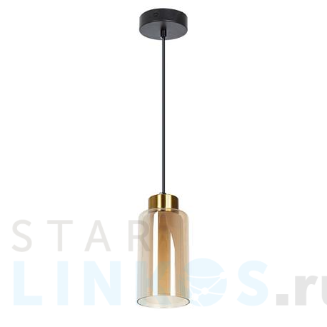 Купить Подвесной светильник Arte Lamp Leo A7027SP-1BK за 2 990 руб. в Туле фото 2 Купить с доставкой Подвесной светильник Arte Lamp Leo A7027SP-1BK в Туле фото 2
