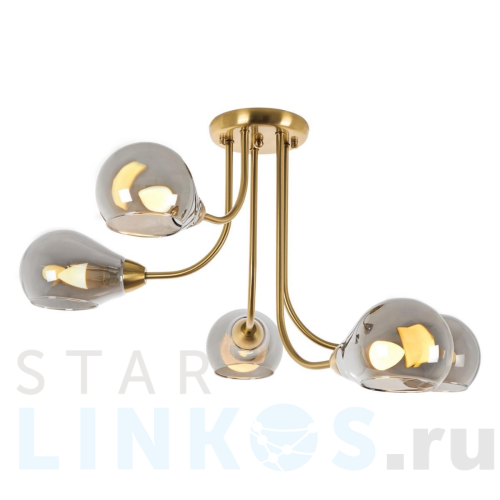 Купить Потолочная люстра MyFar Milagros MR1280-5C за 16 795 руб. в Туле Купить с доставкой Потолочная люстра MyFar Milagros MR1280-5C в Туле