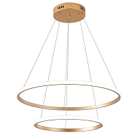 Купить Подвесная светодиодная люстра Zortes RINGOLIGHT ZRS.33320.63C в Туле