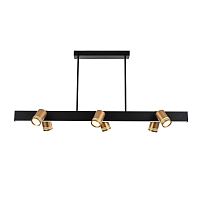 Купить Подвесная люстра Favourite Six 4074-6P в Туле