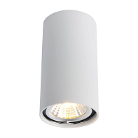 Купить Потолочный светильник Arte Lamp A1516PL-1WH в Туле