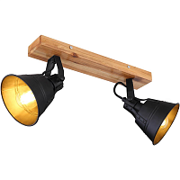 Купить Спот Globo G_nther 15466S-2 в Туле