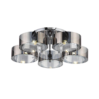 Купить Потолочная люстра Evoluce Foresta SL483.702.05 в Туле