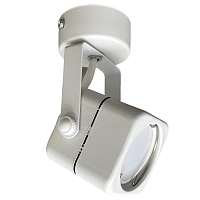 Купить Спот truEnergy Focus 21346 в Туле