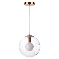 Купить Подвесной светильник Lumion Moderni Blair 3769/1A в Туле