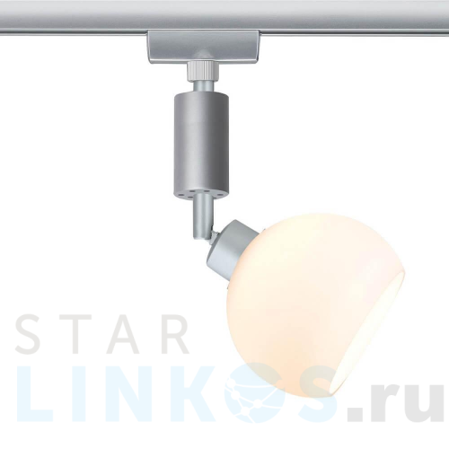 Купить с доставкой Трековый светодиодный светильник Paulmann Wolbi 95098 в Туле