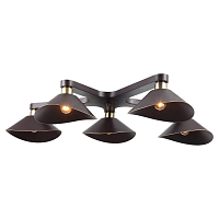 Купить Потолочная люстра Lussole Loft LSP-9535 в Туле